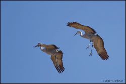 48_20120220_rgs_0665