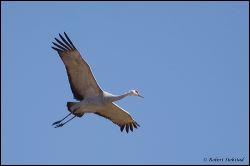 49_20120220_rgs_0718
