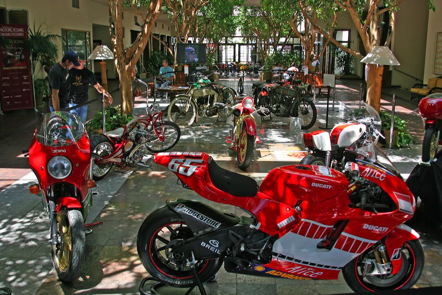 ob9p2559.jpg