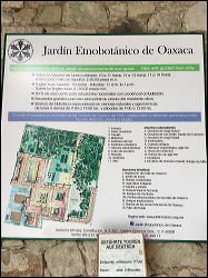 005-20190117_jrs_2581