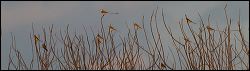 059-20190126_rgs_6611