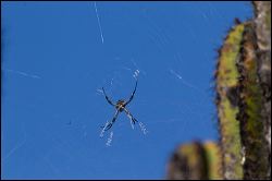 007-20190118_rgs_4732