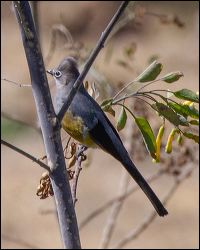 022-20190118_rgs_4860