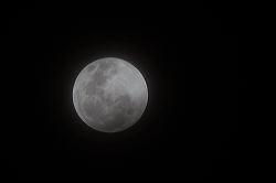 052-20190120_rgs_5038