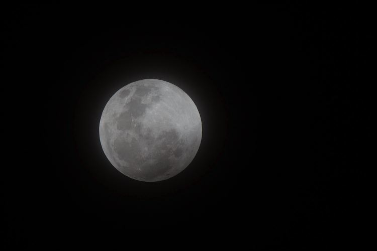 052-20190120_rgs_5038.jpg