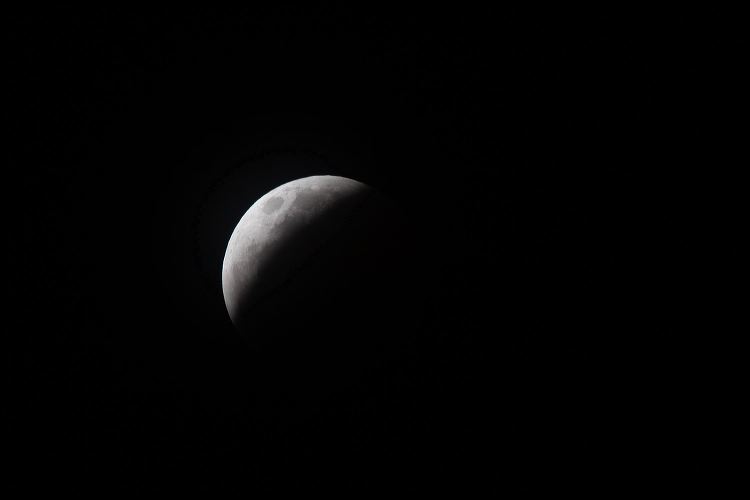 053-20190120_rgs_5048.jpg