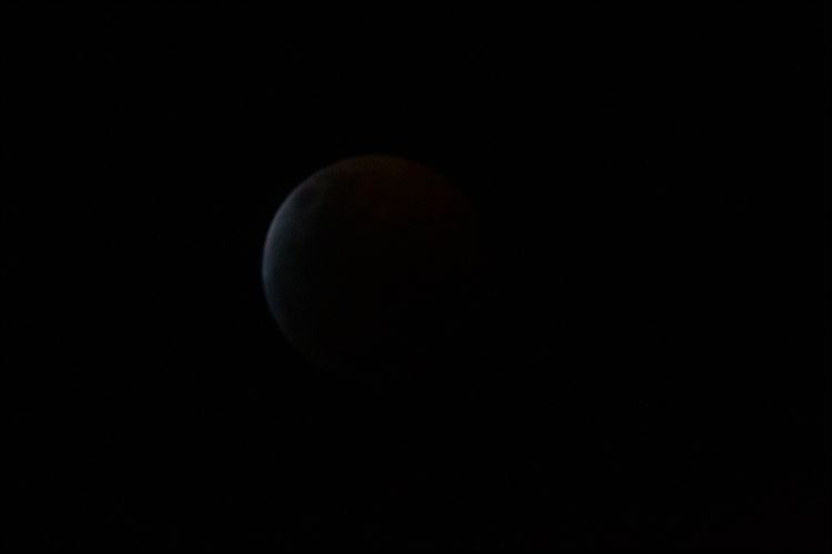 054-20190120_rgs_5056.jpg