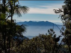 027-20190121_rgs_0739