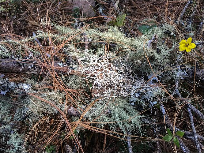 014-20190121_jrs_2844.jpg