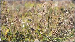 007-20190122_rgs_5236