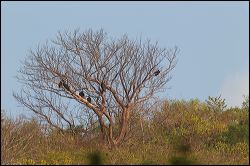 026-20190124_rgs_5830