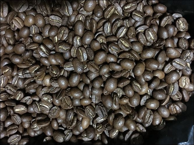 037-20190125_jrs_3003.jpg