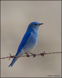 09_20120218_rgs_9524