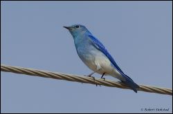 10_20120218_rgs_9542