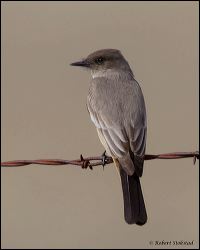11_20120218_rgs_9554