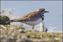 23_20120219_rgs_9979
