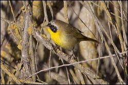 28_20120219_rgs_0050