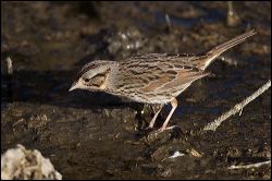 30_20120219_rgs_0060