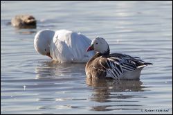 31_20120219_rgs_0118