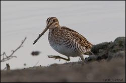 32_20120220_rgs_0360
