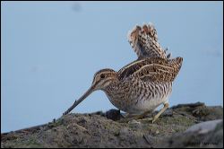 33_20120220_rgs_0364