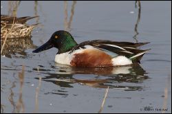 39_20120220_rgs_0433