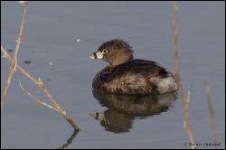 41_20120220_rgs_0434