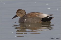 42_20120220_rgs_0459