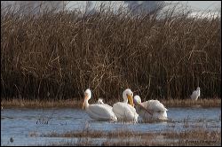 44_20120220_rgs_0526