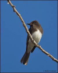 51_20120220_rgs_0604