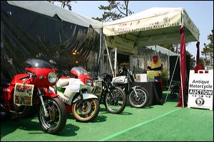 41_oh9p8988