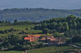 img_2528a