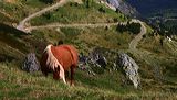 img_7162a