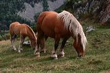 img_7167a