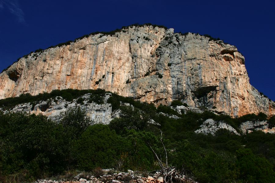 img_7236.jpg