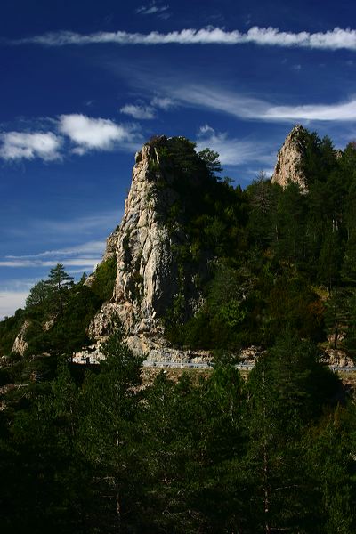 img_7256.jpg