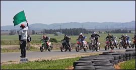img_1981