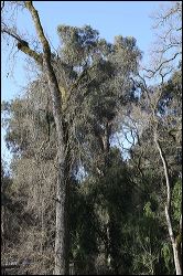 img_1909