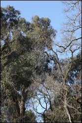 img_1911