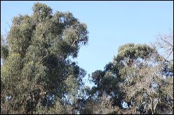 img_1913