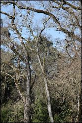 img_1917