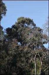 img_1918