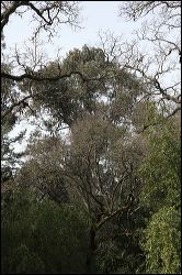 img_1928
