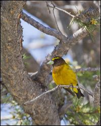 005-20120614_rgs_5229