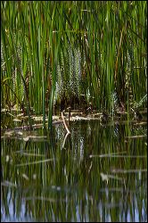 024-20120615_rgs_5351
