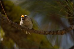 052-20120616_rgs_5540