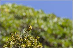 089-20120617_rgs_5835