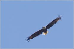 101-20120617_rgs_5912