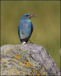 007-20120613_rgs_5012