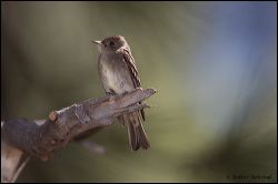 047-20120613_rgs_4674